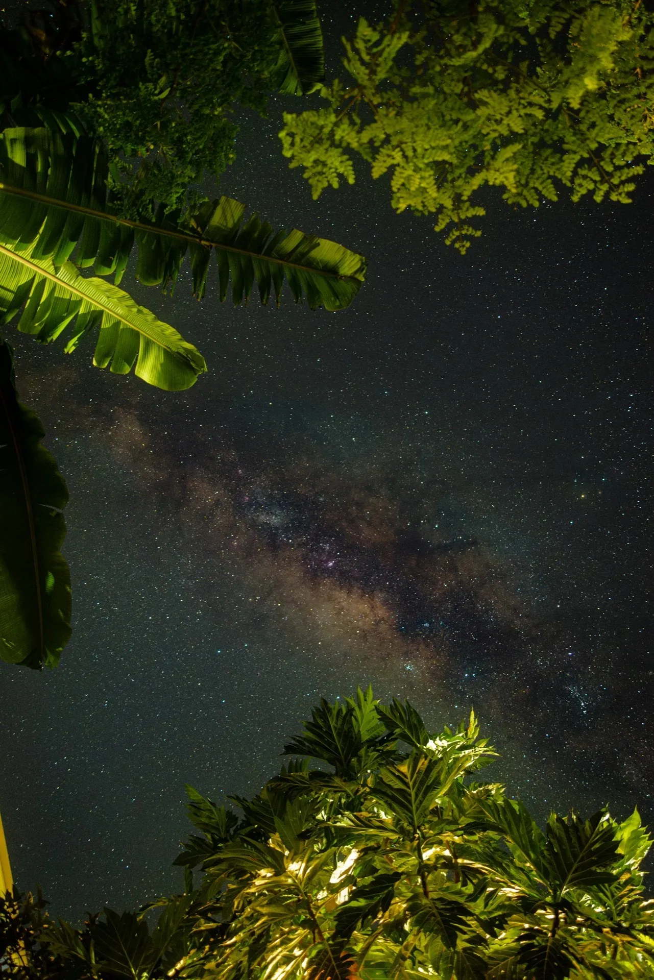 Céu estrelado da Amazônia
