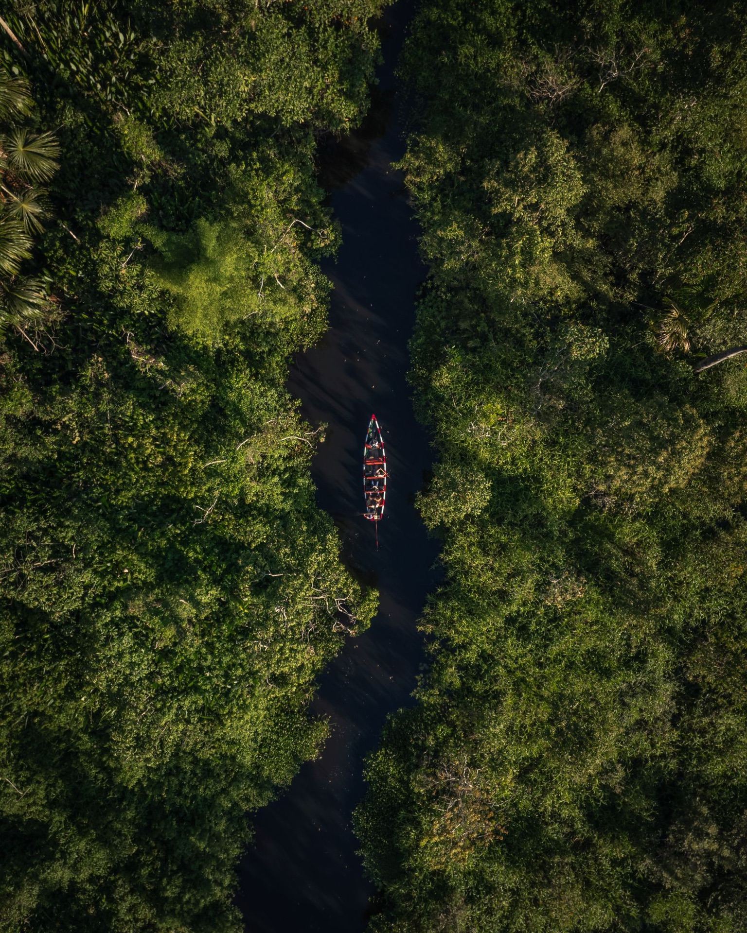 Viagem em grupo para Amazônia