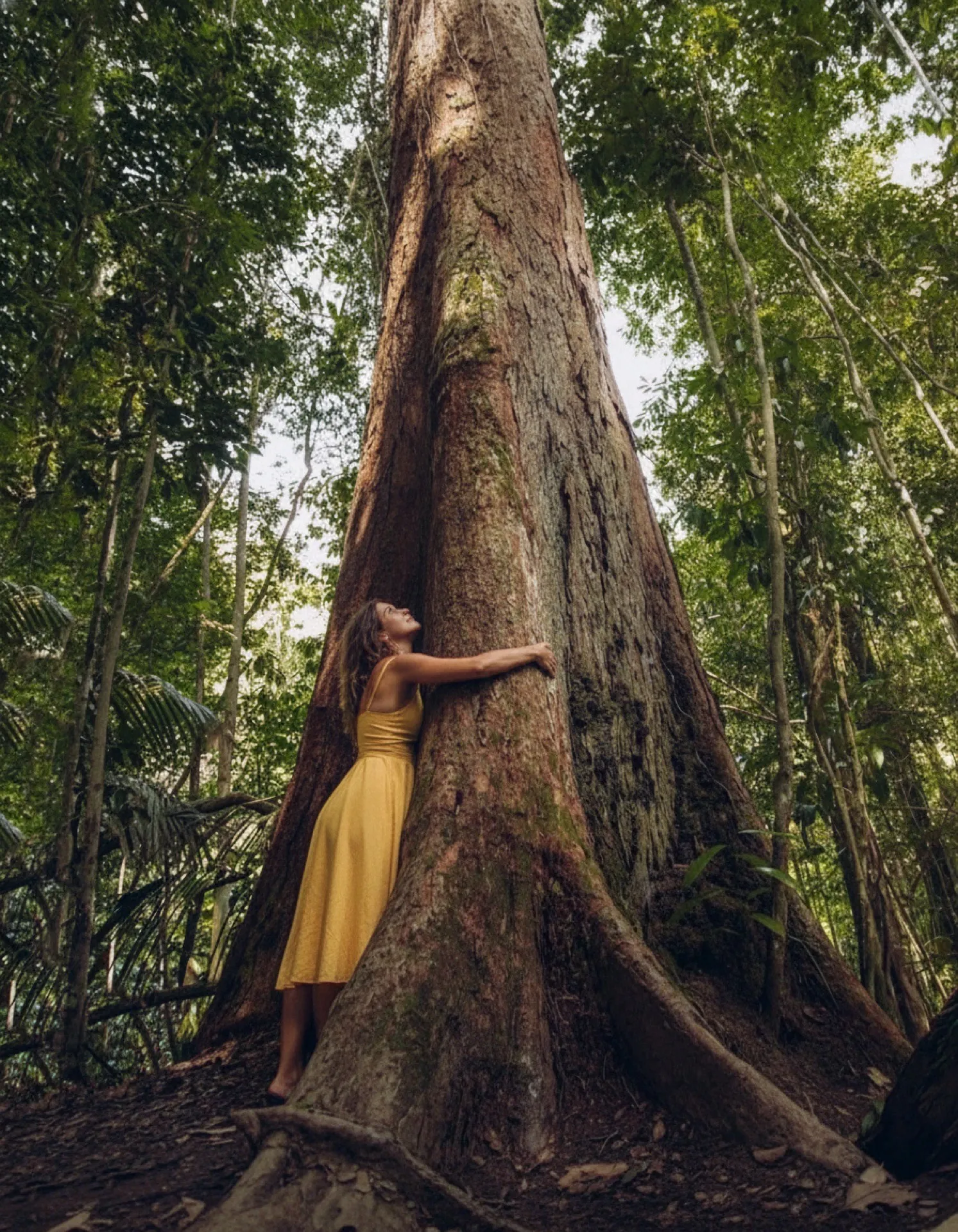 Caminhada guiada na selva